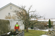Baumschnitt