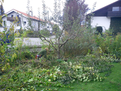Gartenpflege